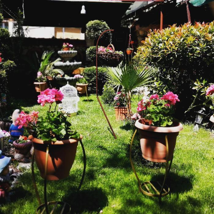 Gala-Garden Hotel Bitola Exterior photo